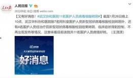 武汉核酸最新爆料,揭秘病毒检测背后的真相与挑战