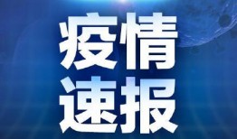 青岛房东最新爆料新闻,揭露租房市场乱象，租金上涨背后的真相
