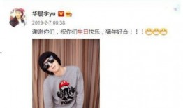 柳州小三爆料视频最新,真相揭露，家庭伦理再起波澜